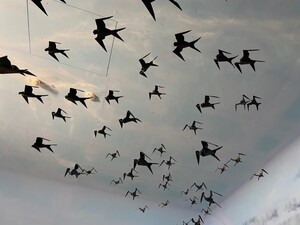 Bild 6_a6utj5swryyr.jpg